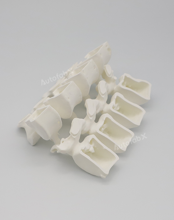 Nylon-Like Resin