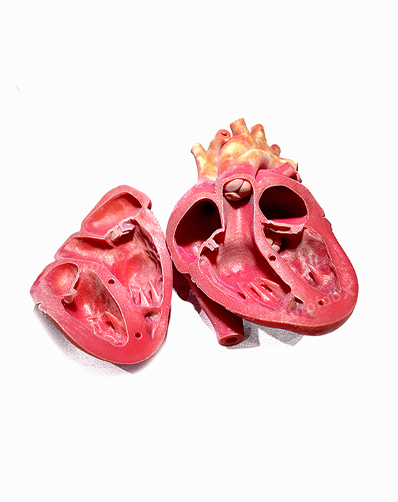 Multi-Color Resin